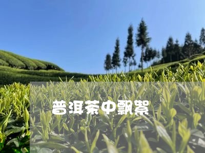 普洱茶中飘絮/2023042936559