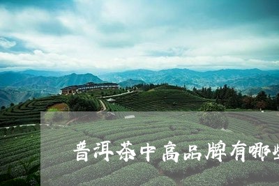 普洱茶中高品牌有哪些/2023062501817