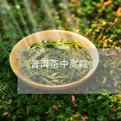 普洱茶中高端/2023042855870