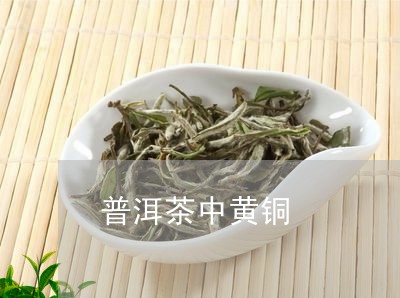 普洱茶中黄铜/2023042701539