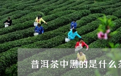 普洱茶中黑的是什么茶/2023062292947