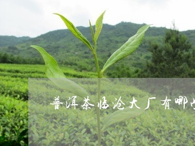 普洱茶临沧大厂有哪些/2023100865948