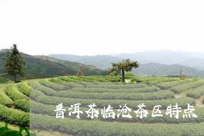 普洱茶临沧茶区特点/2023091464957