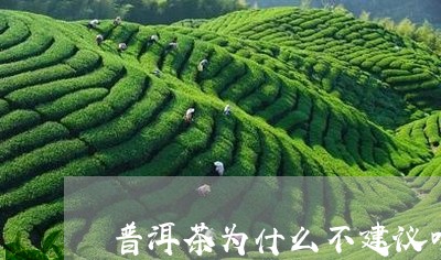 普洱茶为什么不建议喝/2023061881605