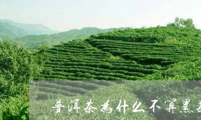 普洱茶为什么不算黑茶/2023080373827