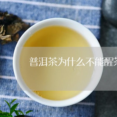 普洱茶为什么不能醒茶/2023100796138