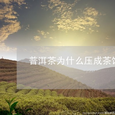 普洱茶为什么压成茶饼/2023073000693