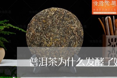 普洱茶为什么发酵了好喝/2023082571384