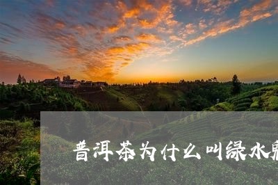 普洱茶为什么叫绿水鬼呢/2023110686380