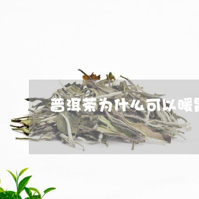 普洱茶为什么可以暖胃/2023062346363