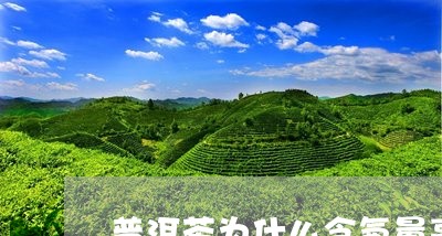 普洱茶为什么含氟量高/2023092933027