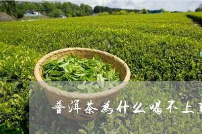 普洱茶为什么喝不上熟/2023062115148