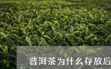 普洱茶为什么存放后变淡了/2023110248562