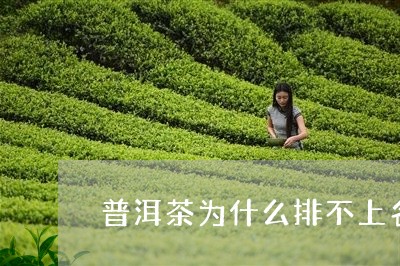 普洱茶为什么排不上名/2023092756584