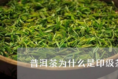 普洱茶为什么是印级茶/2023062267171