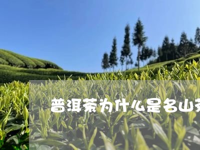 普洱茶为什么是名山茶/2023062249692