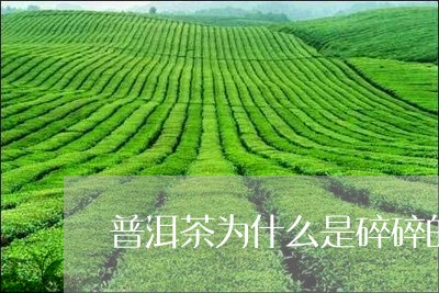 普洱茶为什么是碎碎的/2023061725268