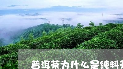 普洱茶为什么是纯料茶/2023062240626