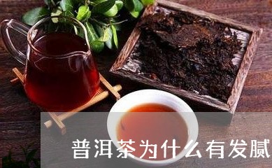 普洱茶为什么有发腻感/2023120691503