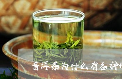 普洱茶为什么有各种形状/2023112842726