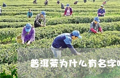 普洱茶为什么有名字呢/2023120612616