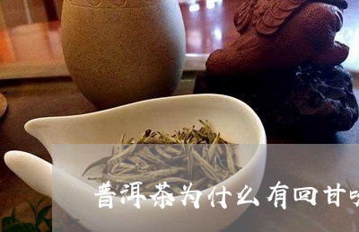 普洱茶为什么有回甘味/2023120661705