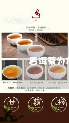 普洱茶为什么有海鲜味/2023092874169