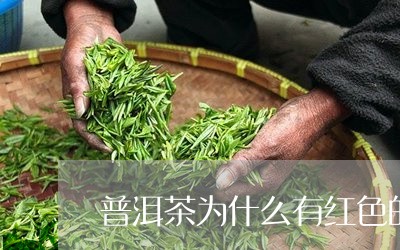 普洱茶为什么有红色的茶/2023110683259