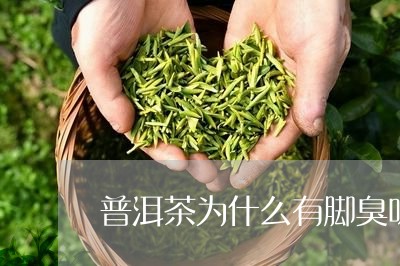 普洱茶为什么有脚臭味/2023062073717