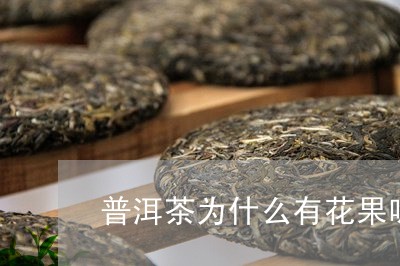 普洱茶为什么有花果味/2023073115037