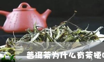 普洱茶为什么有茶梗呢图片/2023112635048