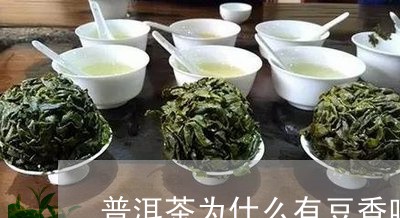 普洱茶为什么有豆香味儿/2023121676146