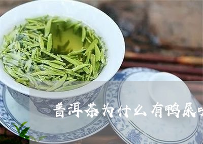 普洱茶为什么有鸭屎味/2023072396371