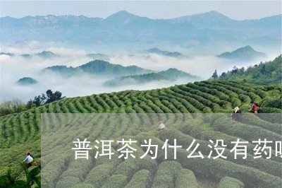 普洱茶为什么没有药味/2023063088481