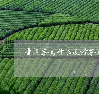 普洱茶为什么没绿茶好喝/2023082514957