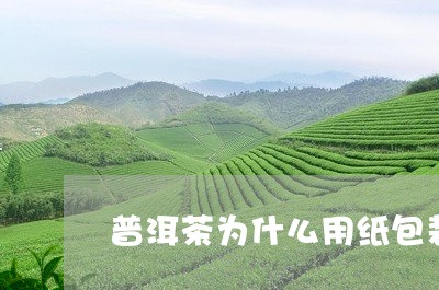 普洱茶为什么用纸包装/2023092613948