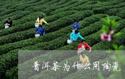 普洱茶为什么用陶瓷/2023071099483