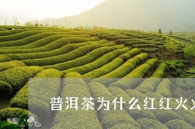 普洱茶为什么红红火火/2023062082513