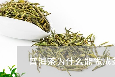 普洱茶为什么能做成茶饼/2023112750848