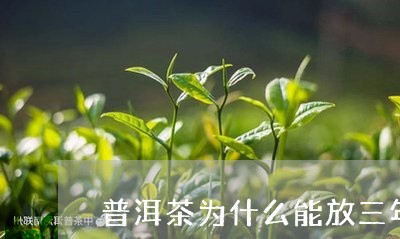 普洱茶为什么能放三年/2023092690713