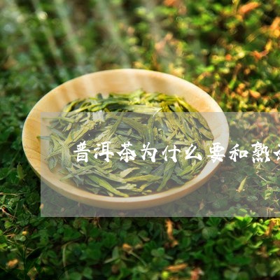 普洱茶为什么要和熟茶/2023100793837