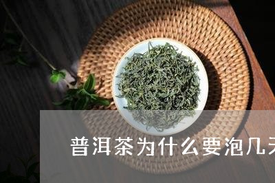 普洱茶为什么要泡几天/2023120789274