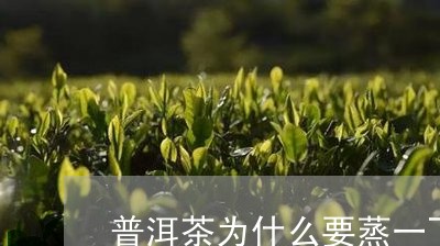 普洱茶为什么要蒸一下在煮/2023051172826