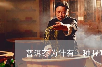 普洱茶为什有一种腥味/2023072243946