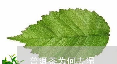 普洱茶为何去湿/2023101678362