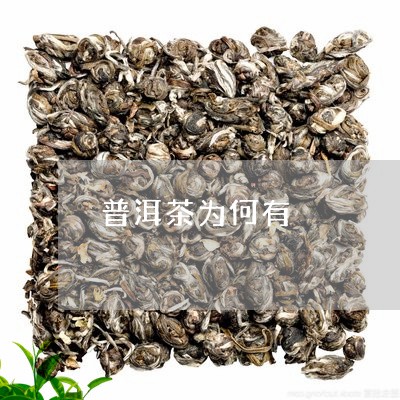 普洱茶为何有/2023042809851