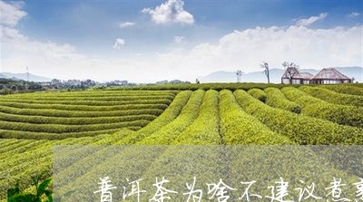 普洱茶为啥不建议煮熟喝/2023110490672