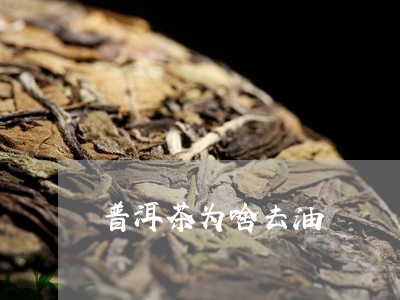 普洱茶为啥去油/2023102692725