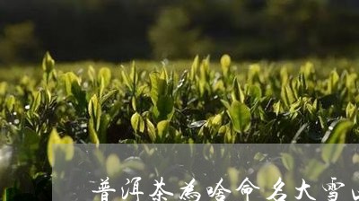 普洱茶为啥命名大雪山/2023092949562