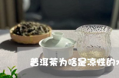 普洱茶为啥是凉性的水/2023121616248